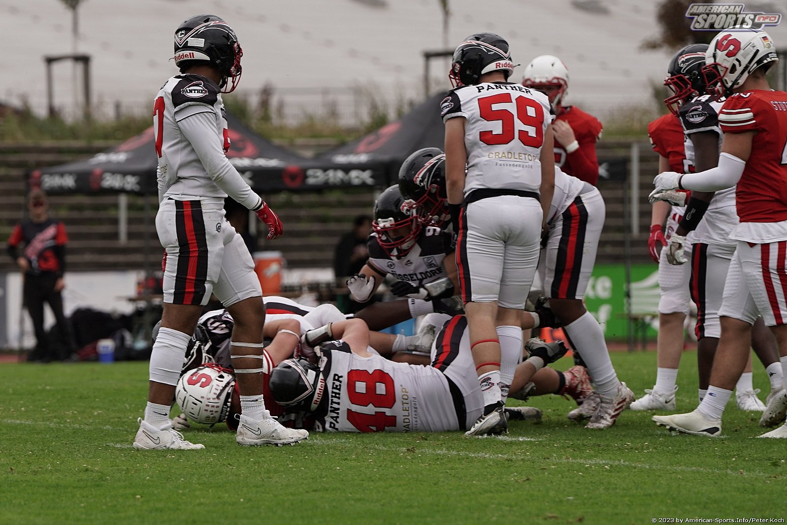 GFLJ Viertelfinale: Düsseldorf Panther vs Stuttgart Scorpions 115:00 29.06.2023