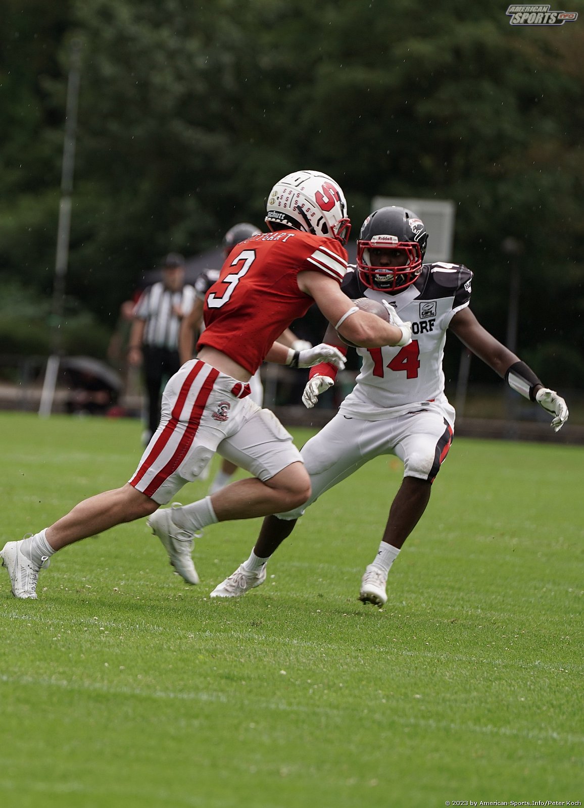 GFLJ Viertelfinale: Düsseldorf Panther vs Stuttgart Scorpions 115:00 29.06.2023