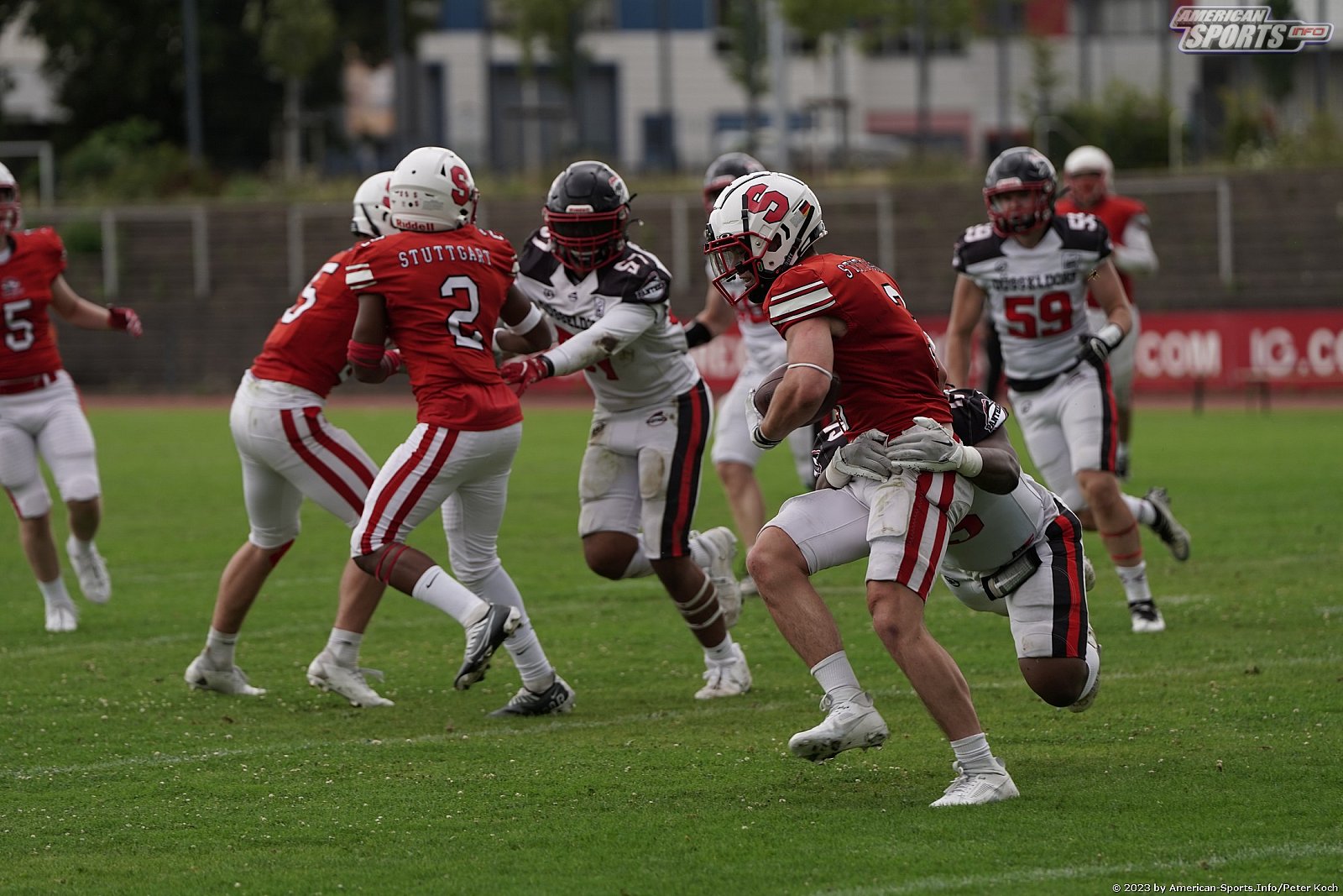 GFLJ Viertelfinale: Düsseldorf Panther vs Stuttgart Scorpions 115:00 29.06.2023