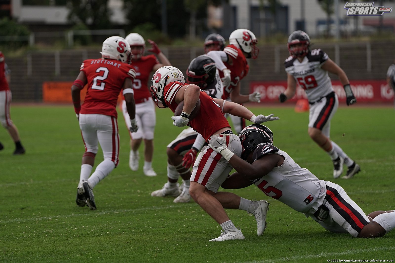 GFLJ Viertelfinale: Düsseldorf Panther vs Stuttgart Scorpions 115:00 29.06.2023