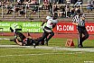 GFL Nord: Düsseldorf Panther vs Berlin Rebels 20:55 15.06.2019
