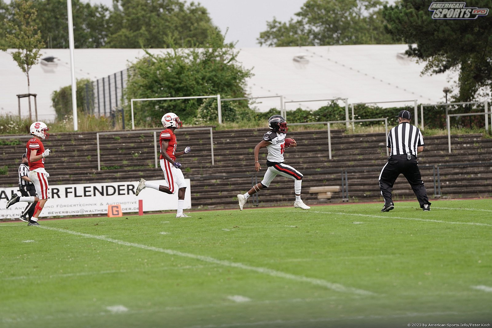 GFLJ Viertelfinale: Düsseldorf Panther vs Stuttgart Scorpions 115:00 29.06.2023