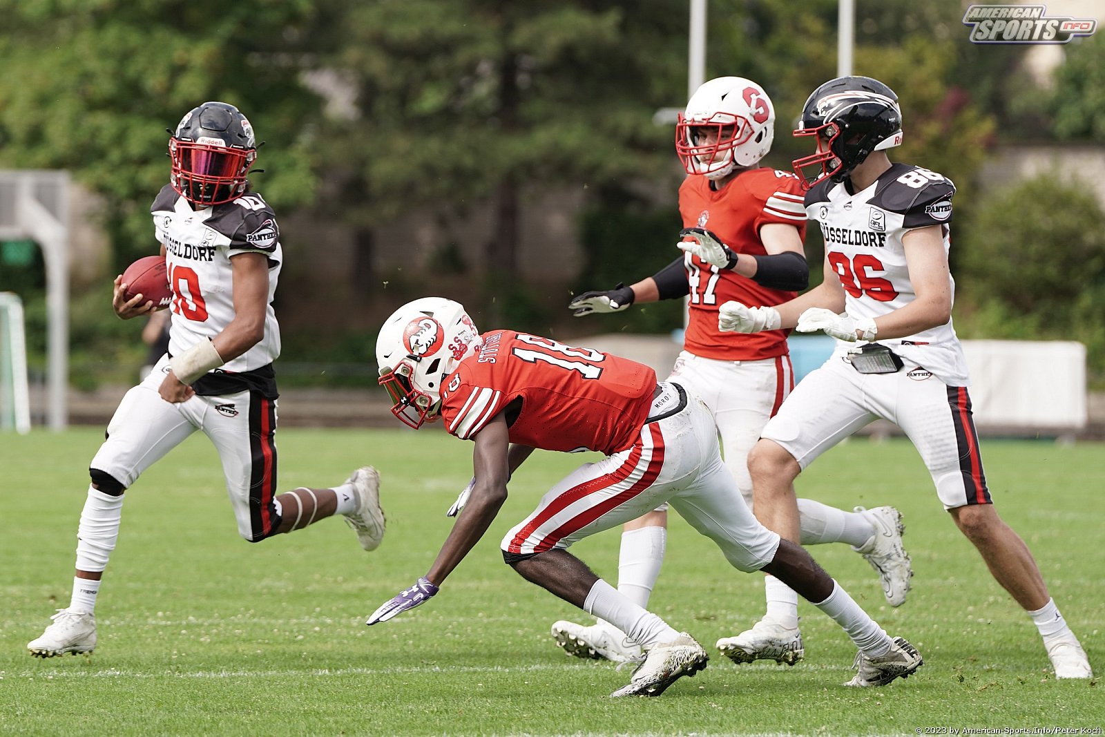 GFLJ Viertelfinale: Düsseldorf Panther vs Stuttgart Scorpions 115:00 29.06.2023