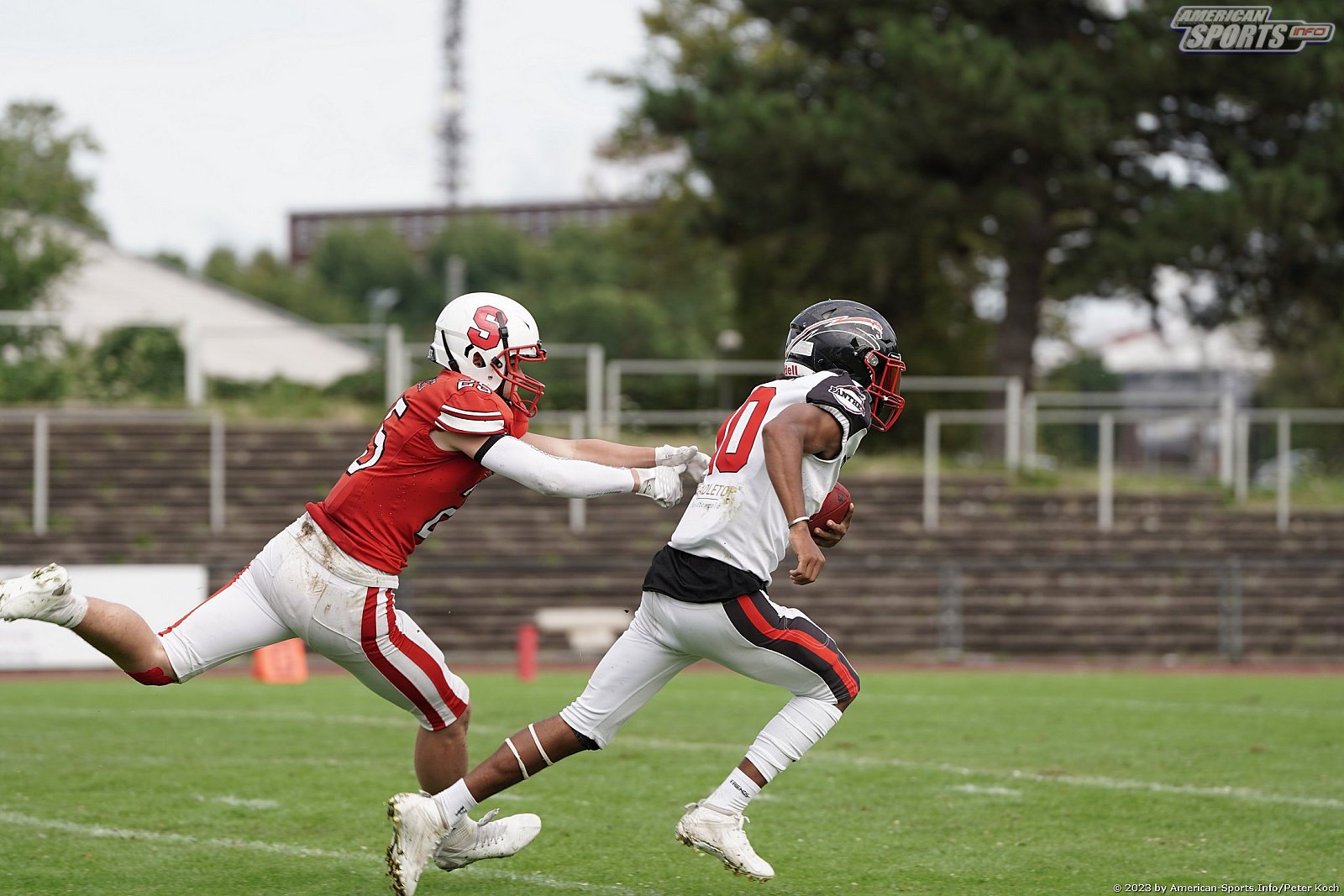 GFLJ Viertelfinale: Düsseldorf Panther vs Stuttgart Scorpions 115:00 29.06.2023