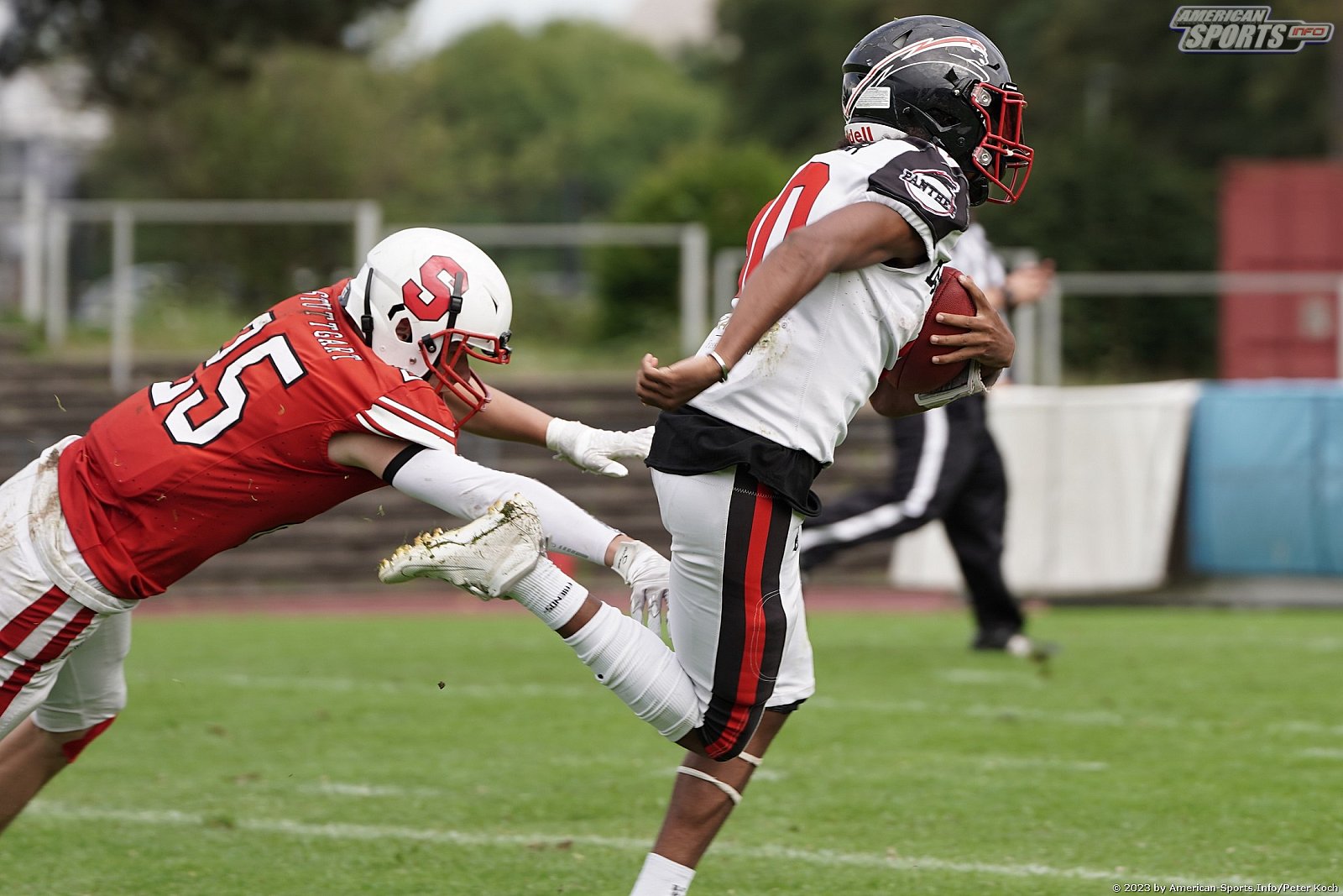 GFLJ Viertelfinale: Düsseldorf Panther vs Stuttgart Scorpions 115:00 29.06.2023