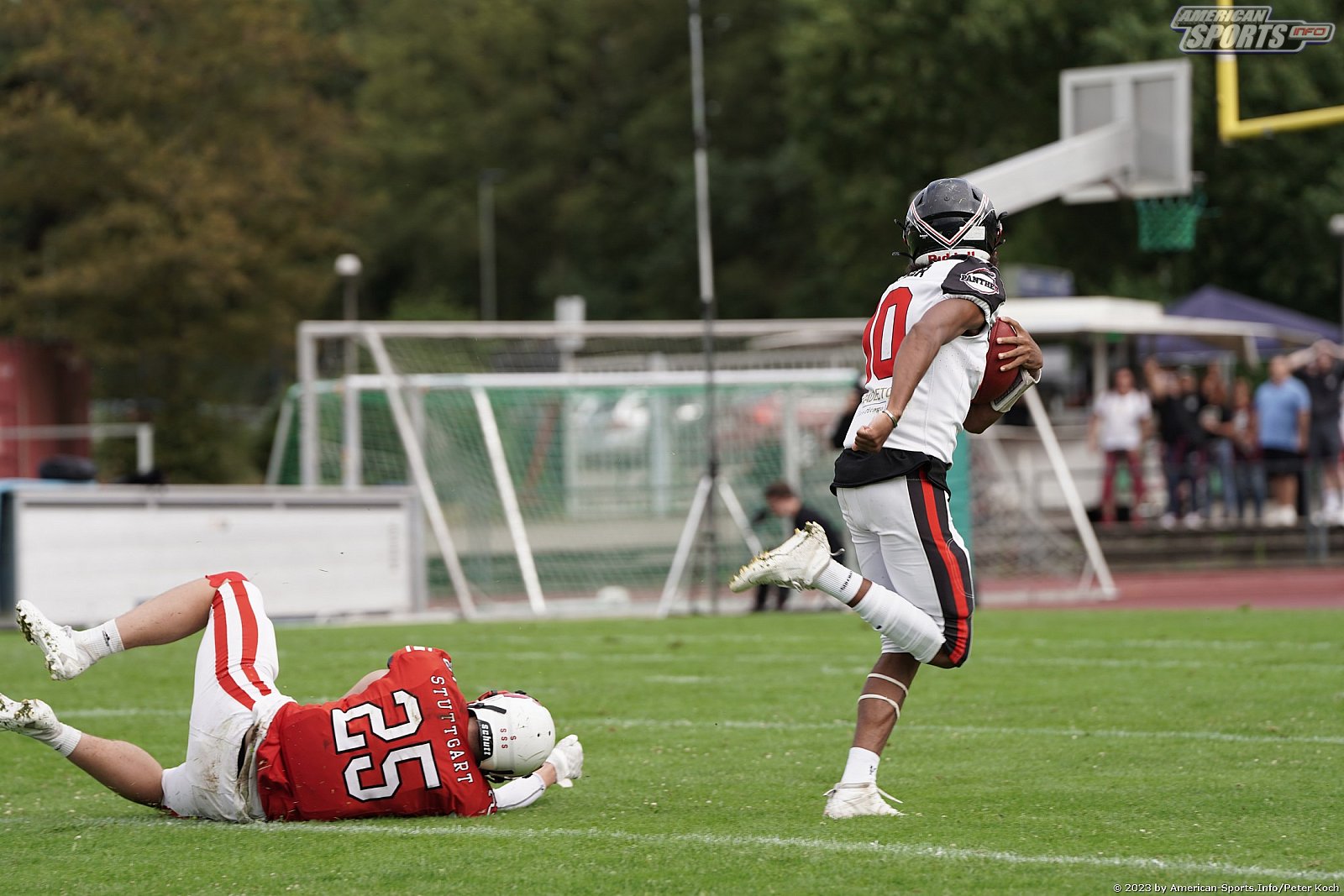 GFLJ Viertelfinale: Düsseldorf Panther vs Stuttgart Scorpions 115:00 29.06.2023
