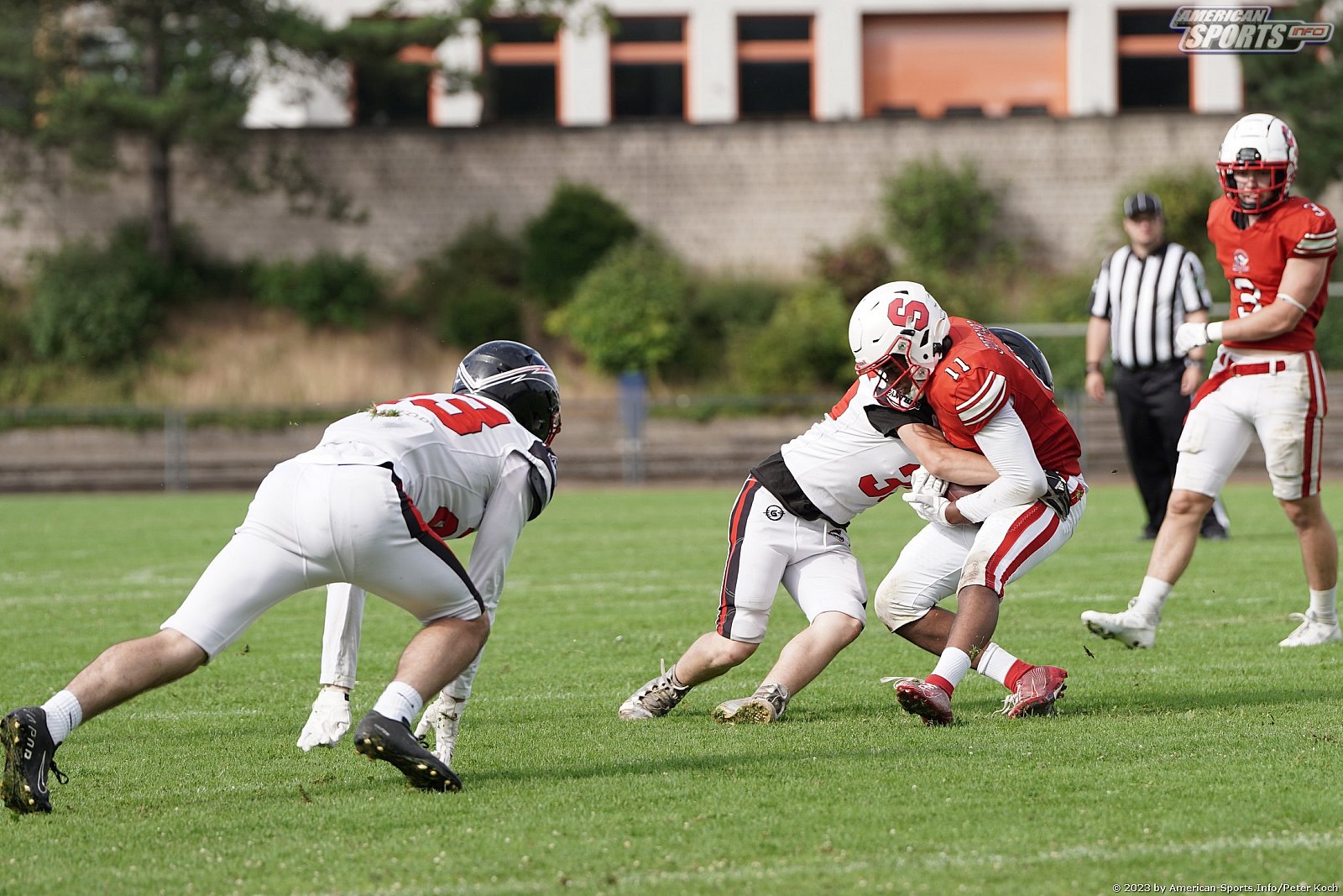 GFLJ Viertelfinale: Düsseldorf Panther vs Stuttgart Scorpions 115:00 29.06.2023