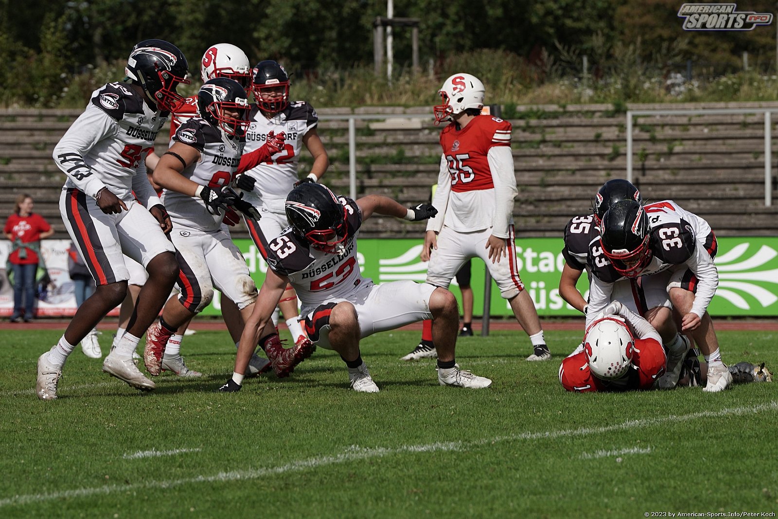 GFLJ Viertelfinale: Düsseldorf Panther vs Stuttgart Scorpions 115:00 29.06.2023