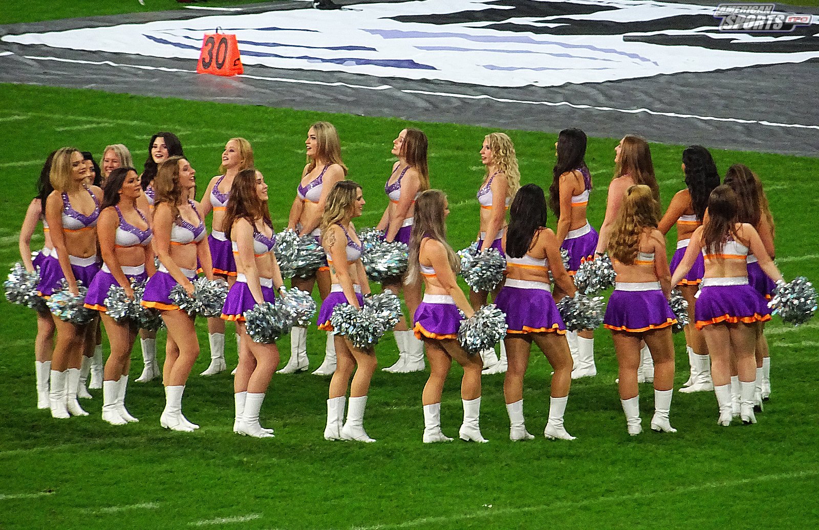 German Bowl XLI New Yorker Lions Braunschweig vs. Schwäbisch Hall Unicorns 10:07  12.10.19 Tribünensicht
