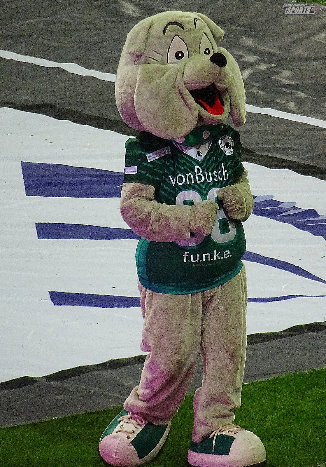 German Bowl XLI New Yorker Lions Braunschweig vs. Schwäbisch Hall Unicorns 10:07  12.10.19 Tribünensicht