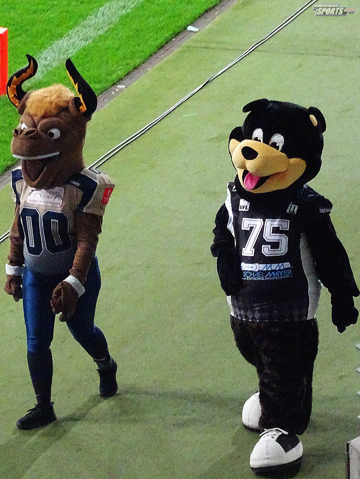 German Bowl XLI New Yorker Lions Braunschweig vs. Schwäbisch Hall Unicorns 10:07  12.10.19 Tribünensicht