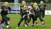 GFL Nord: Cologne Crocodiles vs Düsseldorf Panther 44:21 08.06.2019 Galerie 1