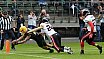 GFL Nord: Cologne Crocodiles vs Düsseldorf Panther 44:21 08.06.2019 Galerie 1