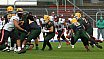 GFL Nord: Cologne Crocodiles vs Düsseldorf Panther 44:21 08.06.2019 Galerie 1