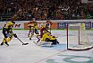 DEL: Düsseldorfer EG vs Krefeld Pinguine 1:2 01.03.2019