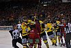 DEL: Düsseldorfer EG vs Krefeld Pinguine 1:2 01.03.2019