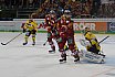 DEL: Düsseldorfer EG vs Krefeld Pinguine 1:2 01.03.2019