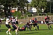 GFL2 Nord: Düsseldorf Panther vs Langenfeld Longhorns 14:07 26.08.2023