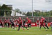GFL Nord: Düsseldorf Panther vs Potsdam Royals 10:17 17.08.2019