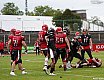 GFL Nord: Düsseldorf Panther vs Potsdam Royals 10:17 17.08.2019
