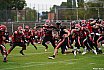 GFL Nord: Düsseldorf Panther vs Potsdam Royals 10:17 17.08.2019