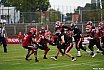 GFL Nord: Düsseldorf Panther vs Potsdam Royals 10:17 17.08.2019