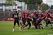 GFL Nord: Düsseldorf Panther vs Potsdam Royals 10:17 17.08.2019