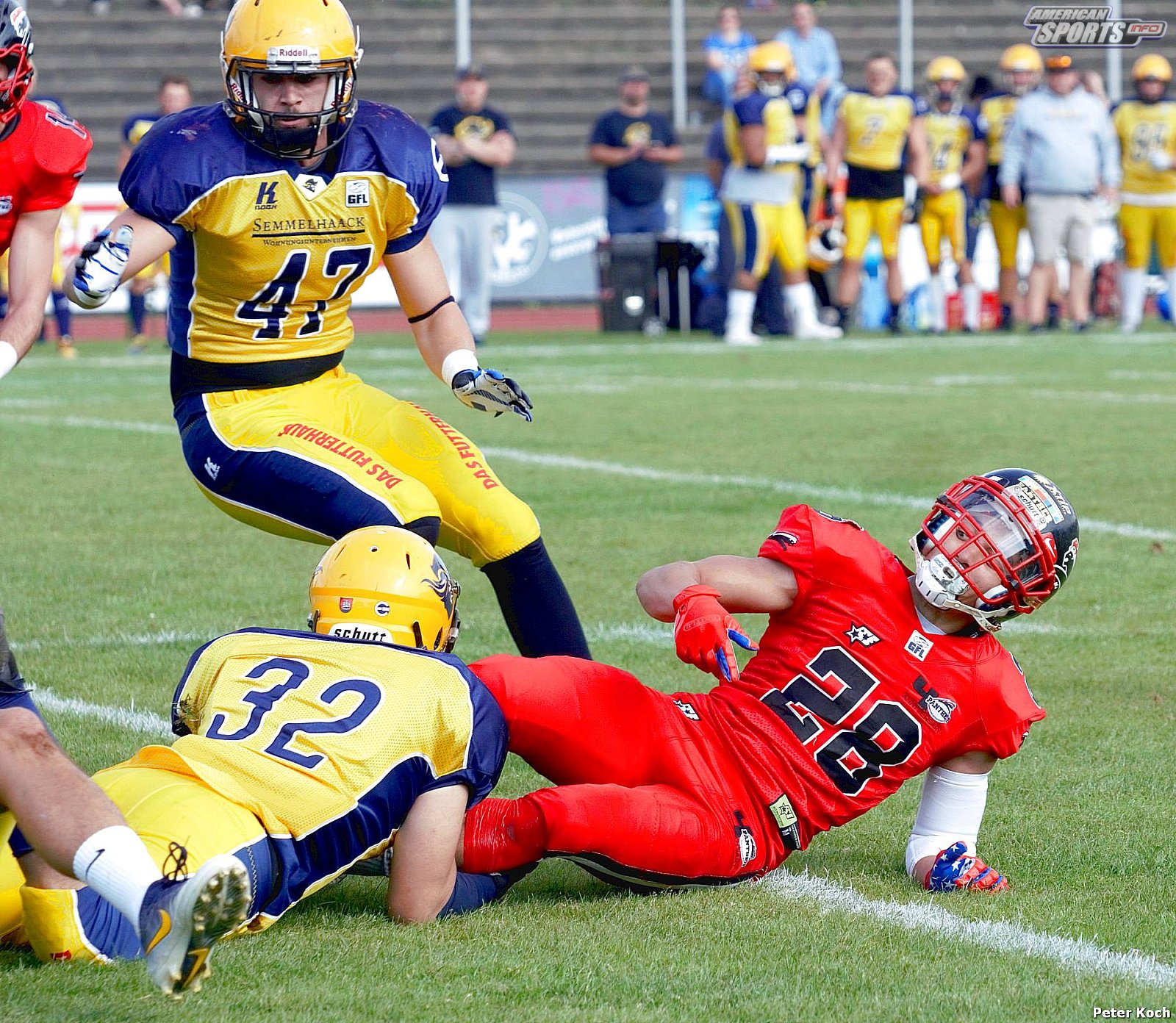 GFL2 Football: Düsseldorf vs Elmshorn 35:14 01.09.2018