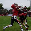 GFL Nord: Düsseldorf Panther vs Potsdam Royals 10:17 17.08.2019