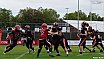 GFL Nord: Düsseldorf Panther vs Potsdam Royals 10:17 17.08.2019