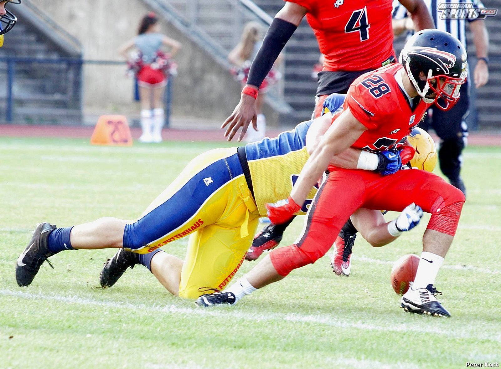GFL2 Football: Düsseldorf vs Elmshorn 35:14 01.09.2018