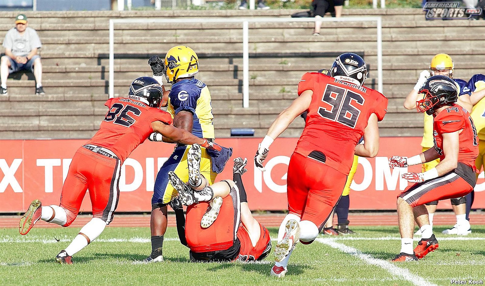 GFL2 Football: Düsseldorf vs Elmshorn 35:14 01.09.2018