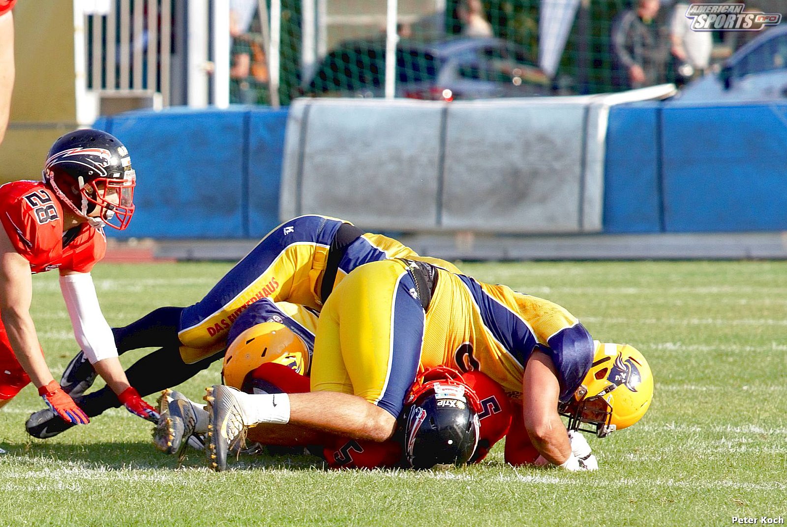 GFL2 Football: Düsseldorf vs Elmshorn 35:14 01.09.2018