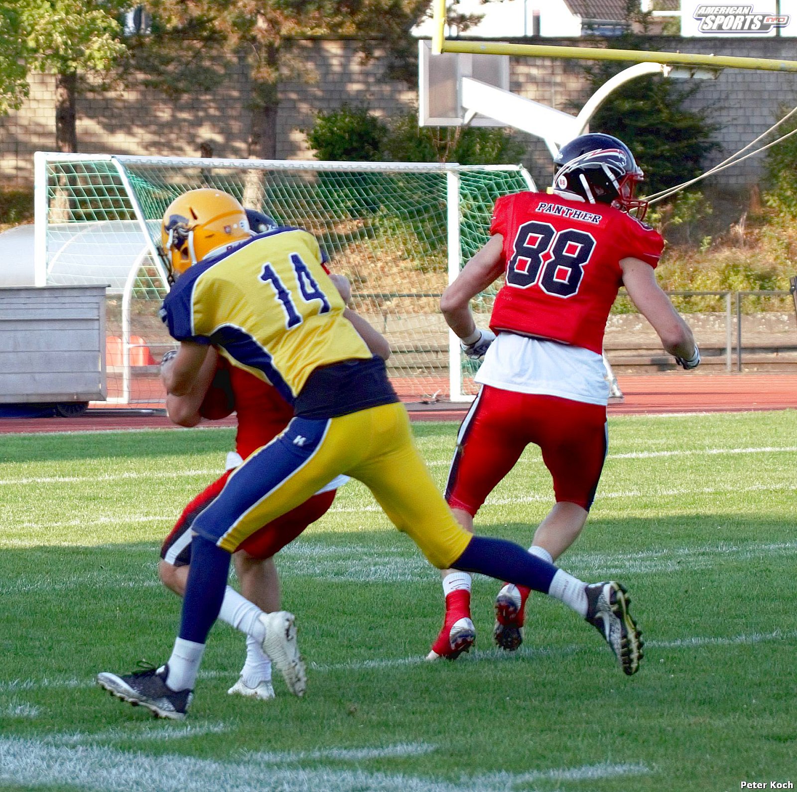 GFL2 Football: Düsseldorf vs Elmshorn 35:14 01.09.2018