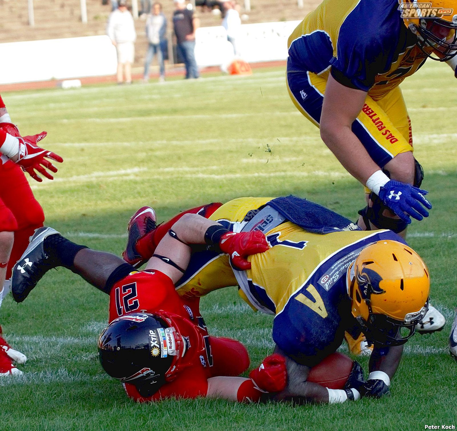 GFL2 Football: Düsseldorf vs Elmshorn 35:14 01.09.2018