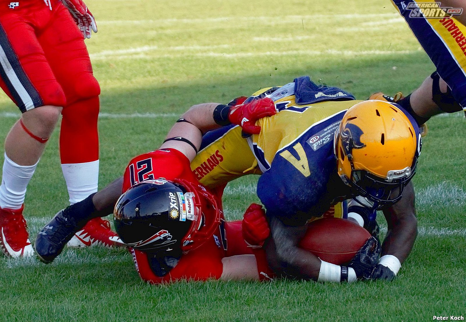 GFL2 Football: Düsseldorf vs Elmshorn 35:14 01.09.2018