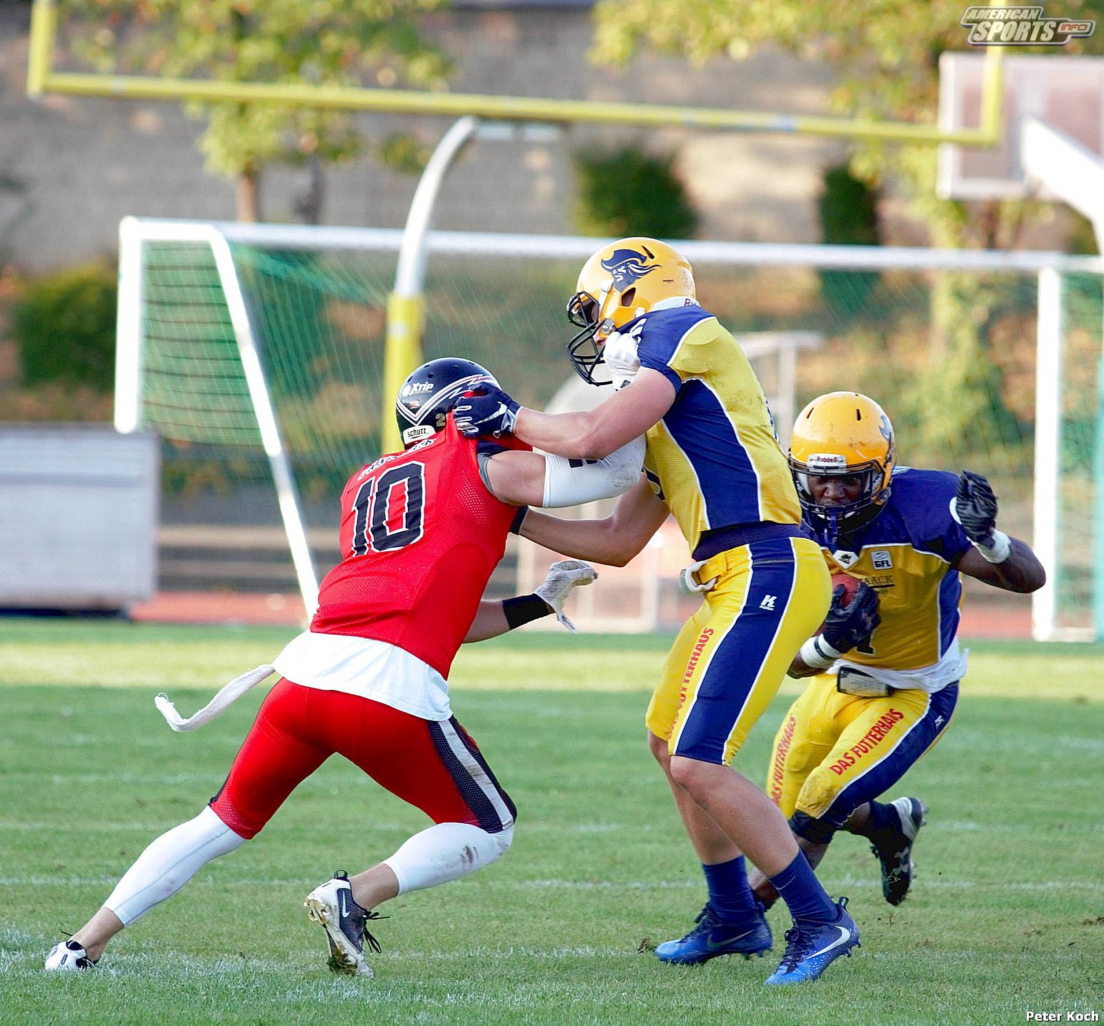 GFL2 Football: Düsseldorf vs Elmshorn 35:14 01.09.2018
