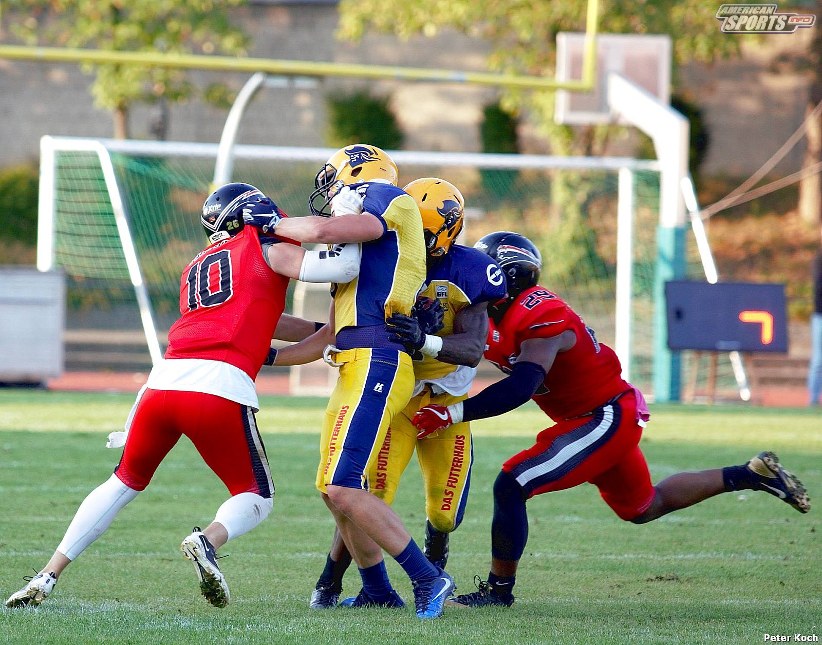 GFL2 Football: Düsseldorf vs Elmshorn 35:14 01.09.2018