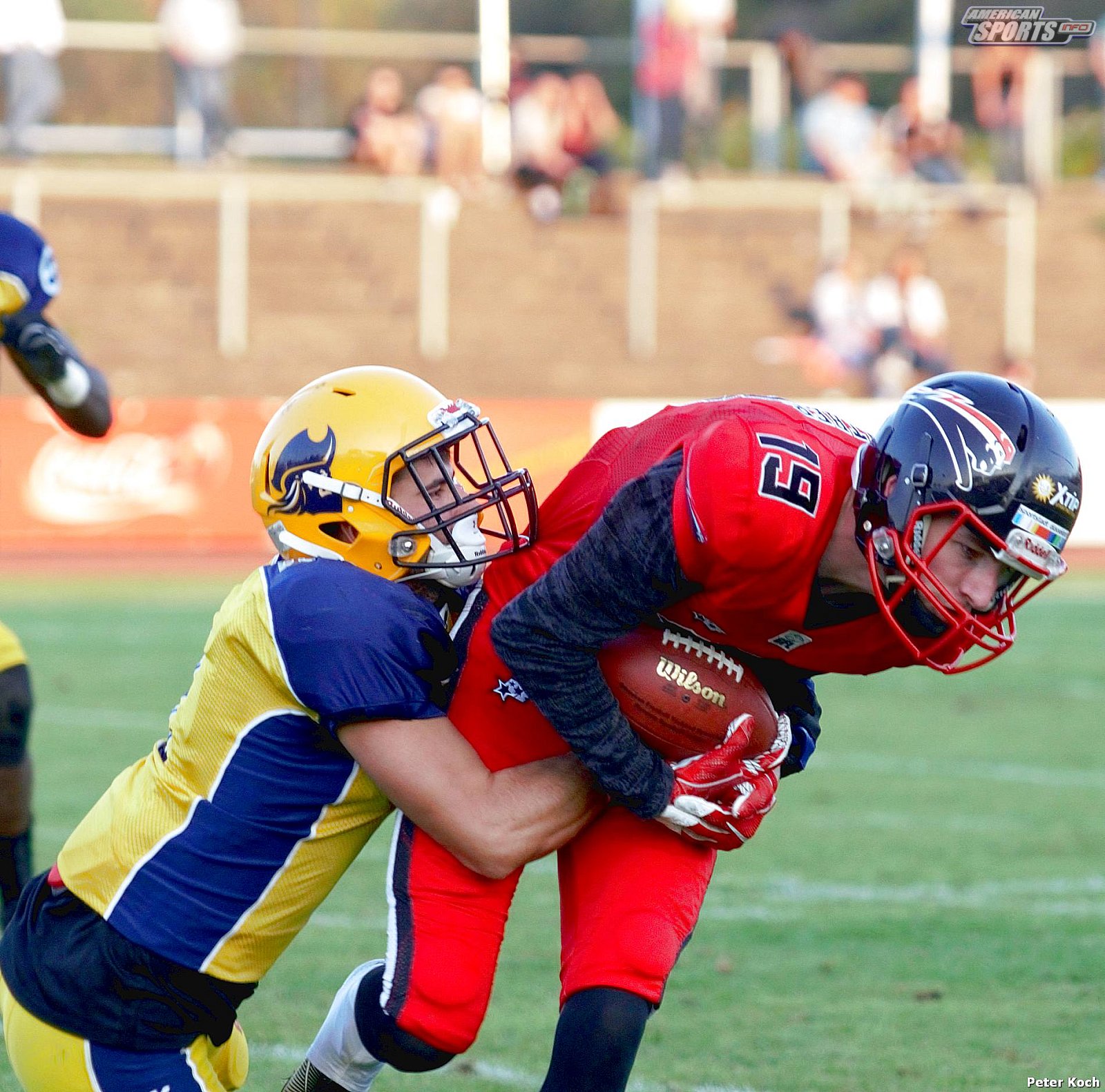GFL2 Football: Düsseldorf vs Elmshorn 35:14 01.09.2018