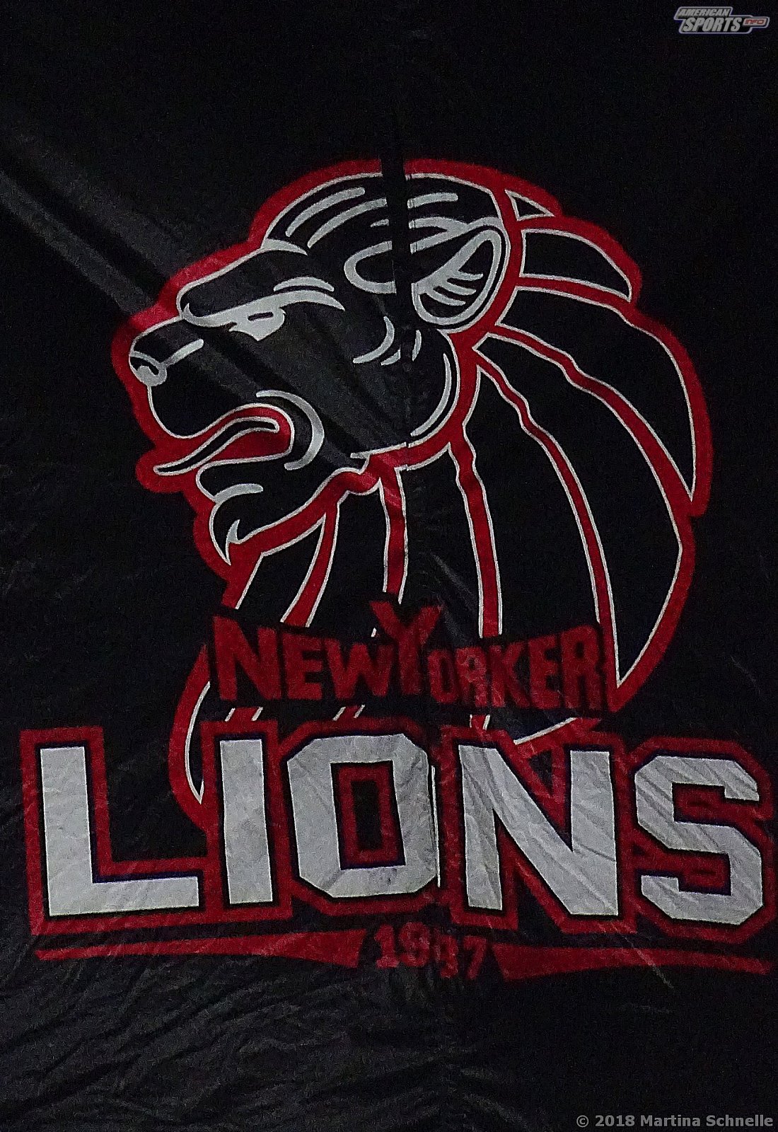 GFL Playoffs NewYorker Lions Braunschweig vs Munich Cowboys 59-14 22.09.2018