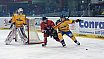 Oberliga Eishockey: Füchse Duisburg vs Tillburg Trappers 4:1 02.11.2018