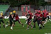 GFL Nord: Cologne Crocodiles vs Potsdam Royals 22:08 01.09.2019 Galerie 2