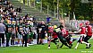 GFL Nord: Cologne Crocodiles vs Potsdam Royals 22:08 01.09.2019 Galerie 2