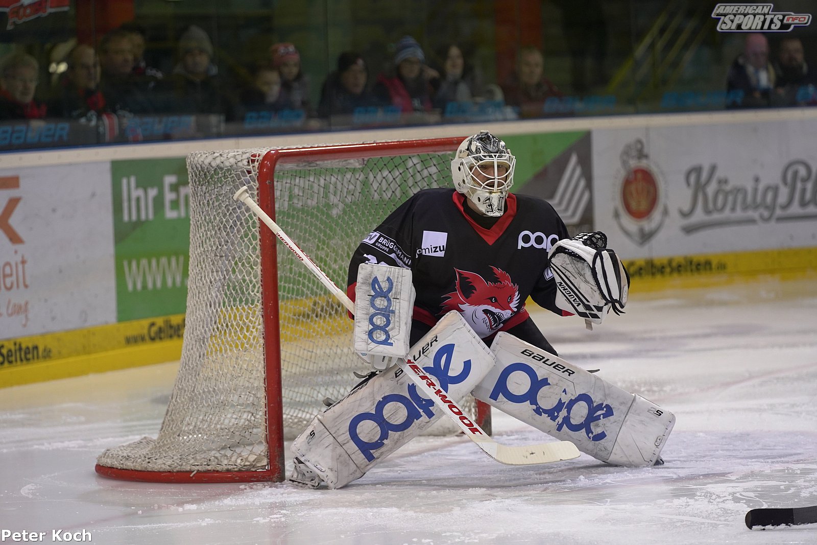 OL Nord: EV Füchse Duisburg-EXA ICEFIGHTERS Leipzig-2-1-n.O 05.12.2020