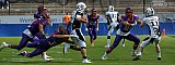 GFL Süd: Frankfurt Universe vs Ingolstadt Dukes 63:13 16.06.2019