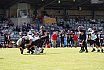 GFLF2 Nord: Düsseldorf Panther vs Hamburg Huskies 12:06 12.06.2021