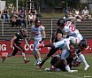 GFL2 Nord: Düsseldorf Panther vs Solingen Paladins 13:00 26.06.2021