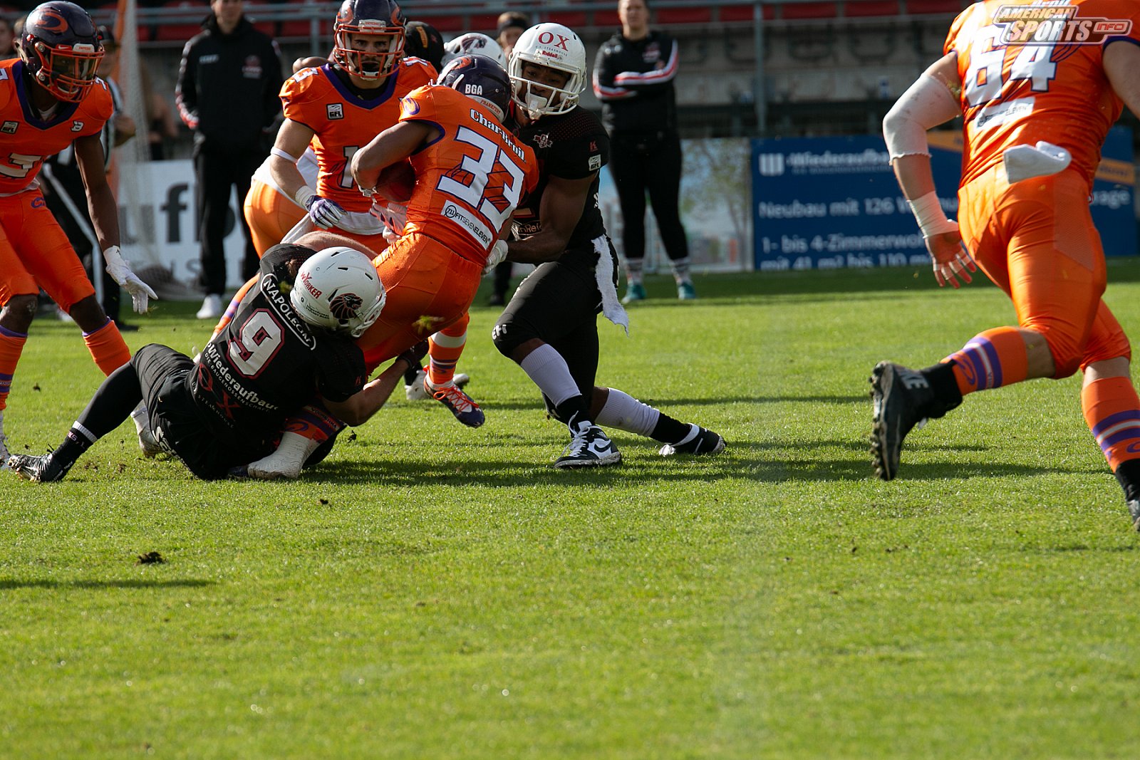 Playoff Halbfinale New Yorker Lions Braunschweig vs. Frankfurt Universe 36:18 29.09.19 (1)