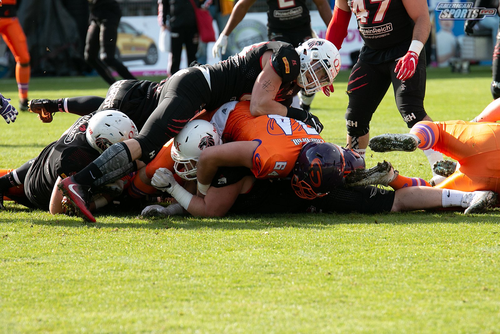 Playoff Halbfinale New Yorker Lions Braunschweig vs. Frankfurt Universe 36:18 29.09.19 (1)