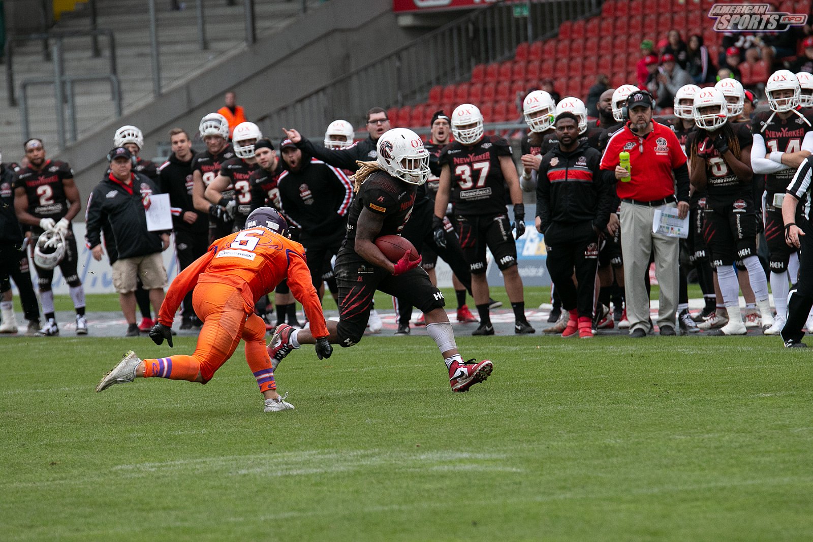 Playoff Halbfinale New Yorker Lions Braunschweig vs. Frankfurt Universe 36:18 29.09.19 (1)